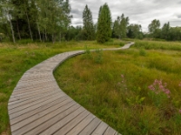 Torfowisko Tarnawa